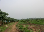 50779CIMG1408.JPG