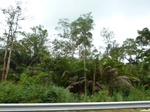20004P1010854.JPG
