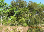 31818IMG_5419.JPG