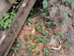 46812DSC02150.JPG