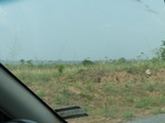 51554P1000725.JPG