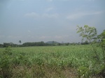 28357IMG_5240.JPG