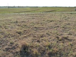 39306WOOD20110727E.JPG