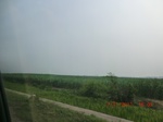 32739CIMG1871.JPG
