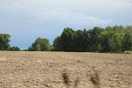 2024-09-24_15-57-03_55F9756F-03D7-4BB7-B22F-7E093077597F.jpeg