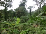 45261CIMG2346.JPG