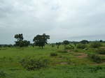 18721P1000559.JPG