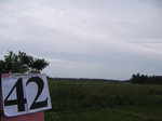 1049442-wetland-permanant-thaipagrass-b.gif