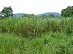20258P1020113.JPG