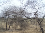 1683301052008(67).JPG