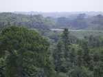 937R0015417.jpg