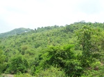 495619042008(41).JPG