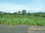 20756P1020613.JPG