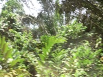 47938CIMG4275.JPG
