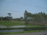 34522IMG_5505.JPG