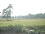 21818DSC08376.JPG