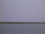 623R0015131.jpg