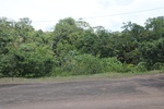 2024-10-10_17-12-02_7DA3D102-4383-4BE9-89CC-5C5027E727DF.jpeg