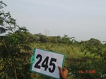 128720245b-irrigated-supplemental-groundwater-sugarcane-dominant-mango-plantation.gif
