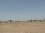 19191P1010037.JPG