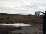 10680gt-101-wetland-moist-flood-plain-seasonal-01.jpg