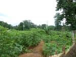 25707P1020124.JPG