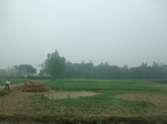 40115CIMG9181.JPG