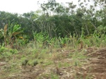 50681CIMG1310.JPG