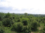 1191447-panaromic-view-top-gt47-b.jpg