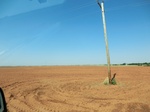 55271CIMG1324.JPG