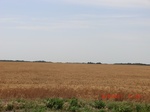 29680CIMG0971.JPG