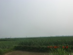 32754CIMG1886.JPG
