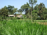 32144IMG_0585.JPG