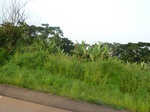 19860P1010710.JPG