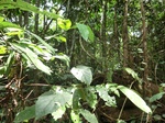 47048CIMG3385.JPG