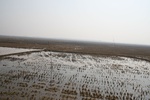 4476IMG_7885.jpg
