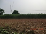 33056CIMG2290.JPG