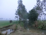 40153CIMG9219.JPG