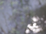 721R0015229.jpg