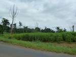 20267P1020122.JPG