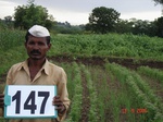 69090147c-irrigated-supplemental-lift-irrigation-mixedcrop-maize-millet-sorghum-onion-corriander.jpg
