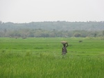 26753DSC01002.JPG
