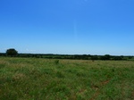 21563P1010387.JPG