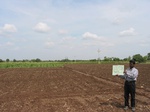 9410gt82b_maize_grains_farmfallow.gif