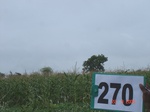 129710270a-rainfed-agriculture-mixedcrop-maize-dominant-soyabean-sorghum.gif