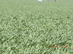 2012-08-30_11-29-24_CIMG0924.JPG
