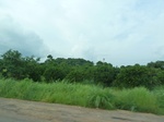 20871P1020735.JPG
