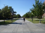 39517P1010133.JPG