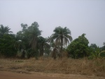3960RIMG0264.JPG