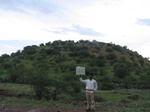 9880gt114b_hilly_scrubs_shrubs.gif